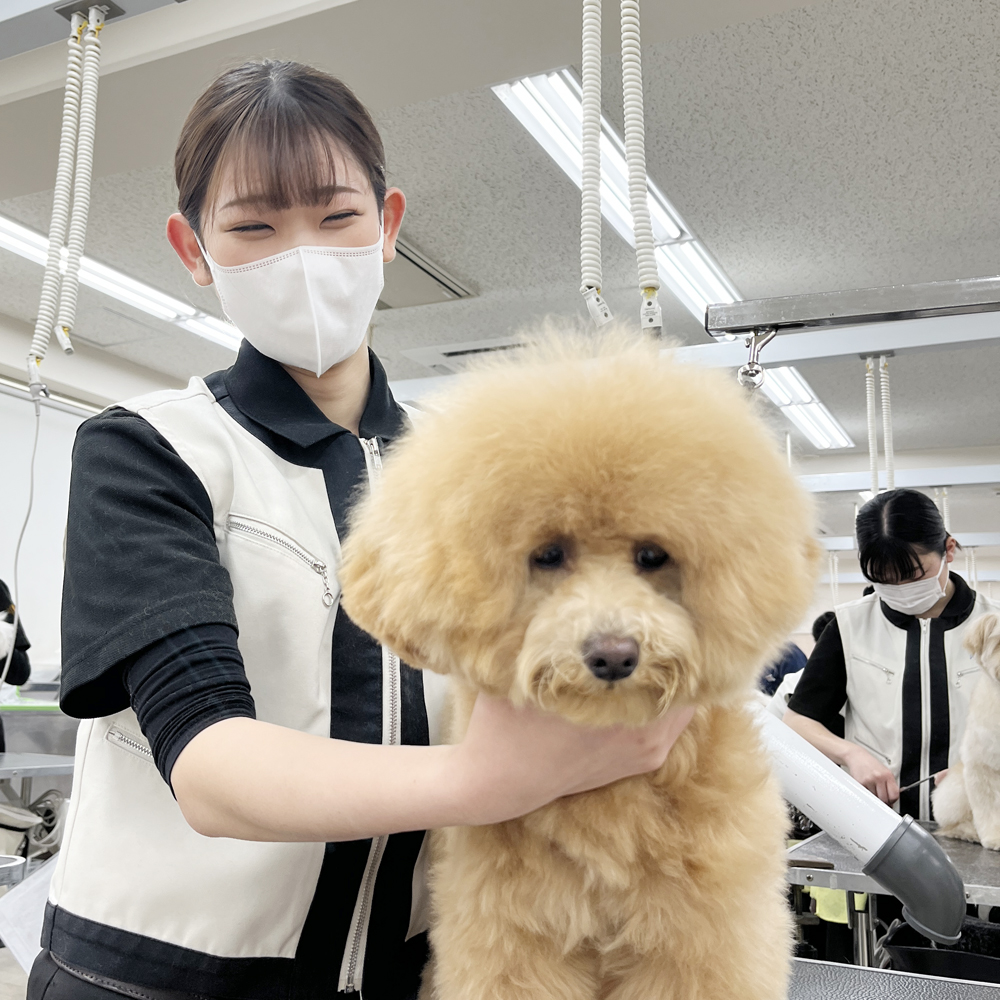 ２年生のカット中と仕上がり写真♪